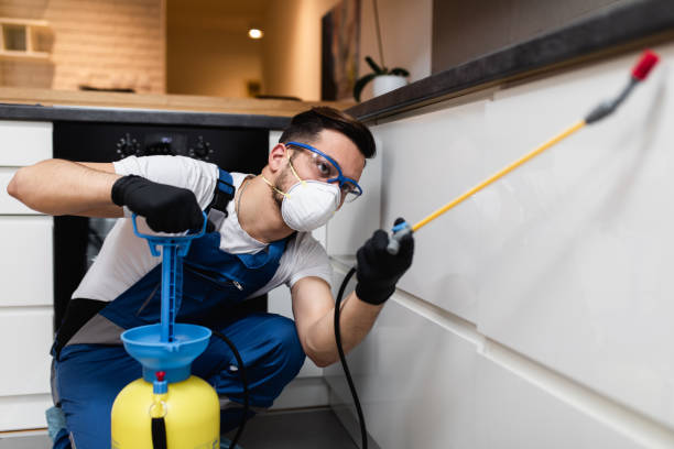 Best Pest Removal Services  in Union City, IN