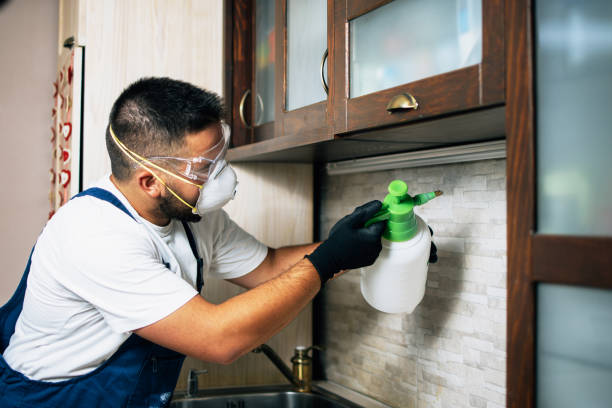Best Flea Control Services  in Union City, IN