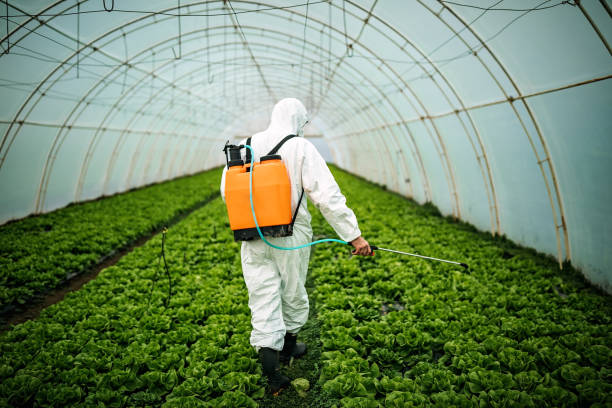 Best Pest Control for Restaurants  in Union City, IN