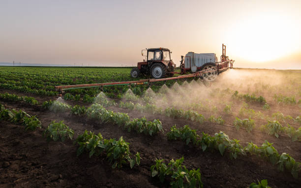 Best Commercial Pest Control Services  in Union City, IN