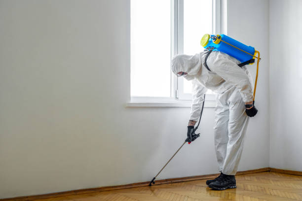Best Best Pest Control Companies  in Union City, IN