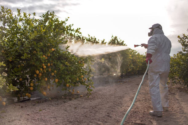 Best Wasp Removal Services  in Union City, IN