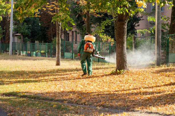Best Local Pest Control Services  in Union City, IN