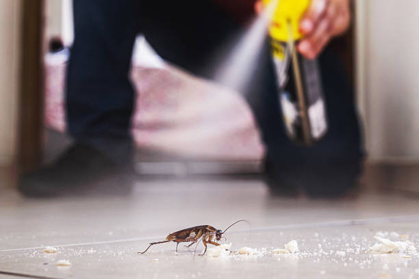 Insect Control in Union City, IN