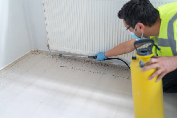 Best Cockroach Control Services  in Union City, IN