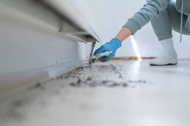 Best Pest Inspection Near Me  in Union City, IN